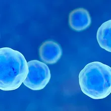 Single Cell Resolution Research Solutions